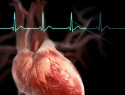Ukuran Sehat Detak Jantung: Mengetahui dan Memahami Detak Jantung yang Ideal